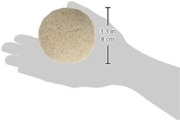 Brightwell Aquatics 8 count Bri Frag Hemixspheres 2"