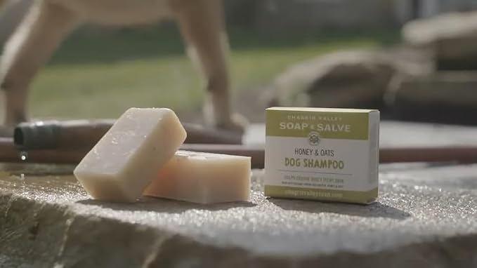 Chagrin Valley Soap & Salve Certified Organic Dog Shampoo and Conditioner – Dog Shampoo Itchy Skin Relief and Puppy Essentials - Natural Handmade Honey & Oats, 3.8 oz Bar Soap