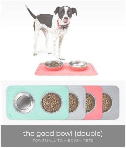 Ono Good Bowl Food & Water Double Feeder - Small to Medium Pets No Spill Non Skid Silicone Mat & Stainless Steel Bowls for Dogs or Cats (Mint)