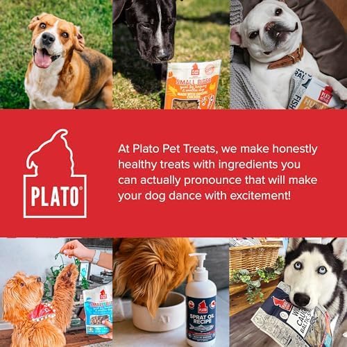 PLATO Pet Treats Small Bites - Air-Dried Training Treats for Dogs - Supports Healthy Digestion - Limited Ingredients - Salmon 6oz - 2 Pack
