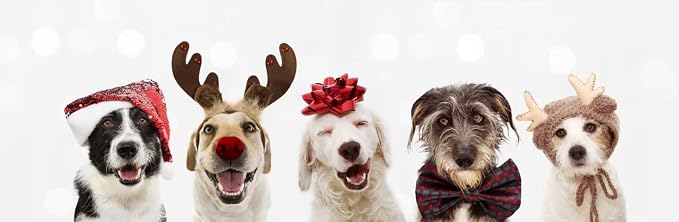 ZippyPaws Burrow Christmas Dog Toy - Plush Squeaky Holiday Dog Gifts for Small & Medium Puppy Dogs, Interactive Hide & Seek Stocking Stuffers for Pets - Santa's Sleigh with Reindeer