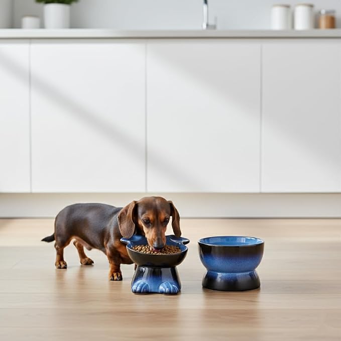 Nihow Dog Food & Water Bowl Set: Elevated Ceramic Dog Bowls for Medium/Small Size- Food Safe Raised Puppy Bowls - Vivid Blue Pet Bowl for Protecting Pet's Spine (Set of 2)