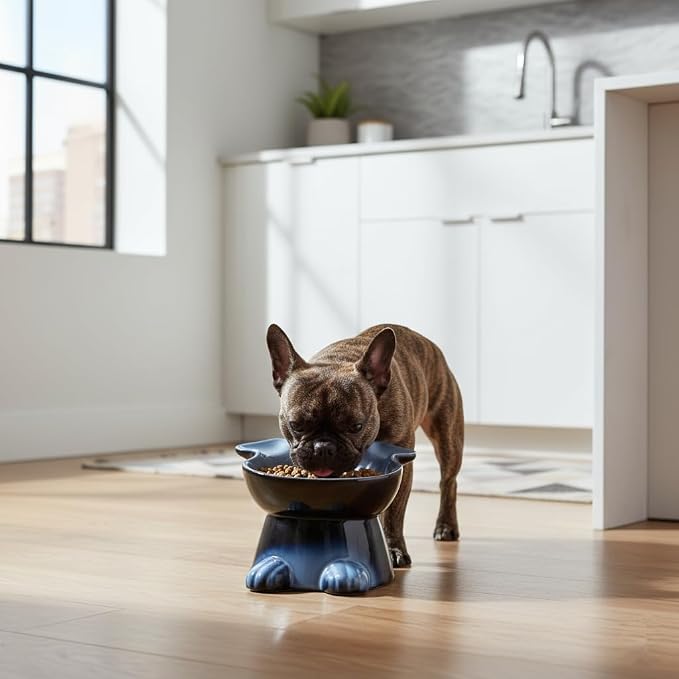 Nihow Elevated Ceramic Dog Bowl: 6.5 Inch Raised Small Dog Bowl for Food & Water - Food Safe, Protects Pet's Spine (1 PC)