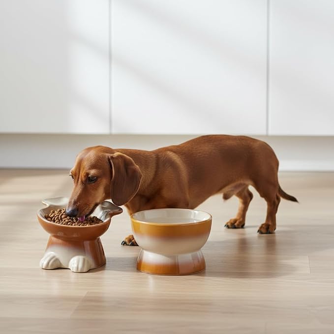 Nihow Dog Food & Water Bowl Set: Elevated Ceramic Dog Bowls for Medium/Small Size Dog - Food Safe Raised Puppy Bowls - Brown Pet Bowl for Protecting Pet's Spine (Set of 2)