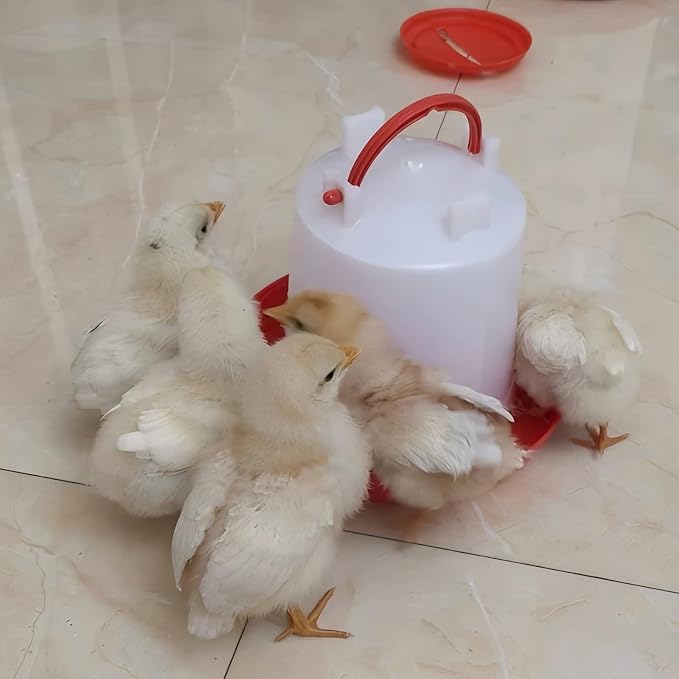 Poultry & Bird Water Dispenser 6L, 2-Pack – Easy to Refill Hanging Chicken Waterer for Ducks, Quail, and Small Birds