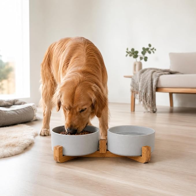 Petygooing Dog Bowls,Grey Ceramic Cat Dog Bowl Set with Wood Stand for Food and Water,Non-Slip Cute Modern Pet Dish Set for Cats and Medium Dogs (28OZ/6.1 in)
