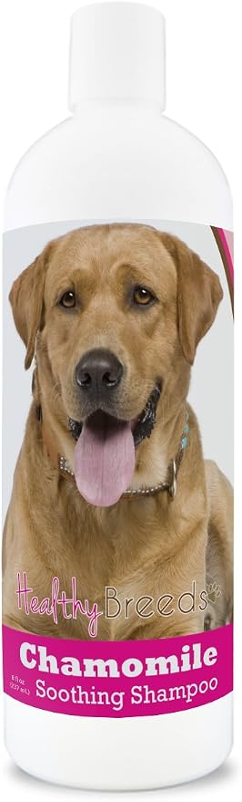 Healthy Breeds Labrador Retriever Chamomile Soothing Dog Shampoo 8 oz