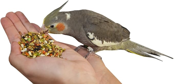Birds LOVE All Natural Garden Blend Bird Food for Medium Birds, 2 lb, Fruit, Nut, Vegetable & Seed Mix for Cockatiels, Conures, Ringneck Parakeets & Small Quakers, Resealable Freshness Bag