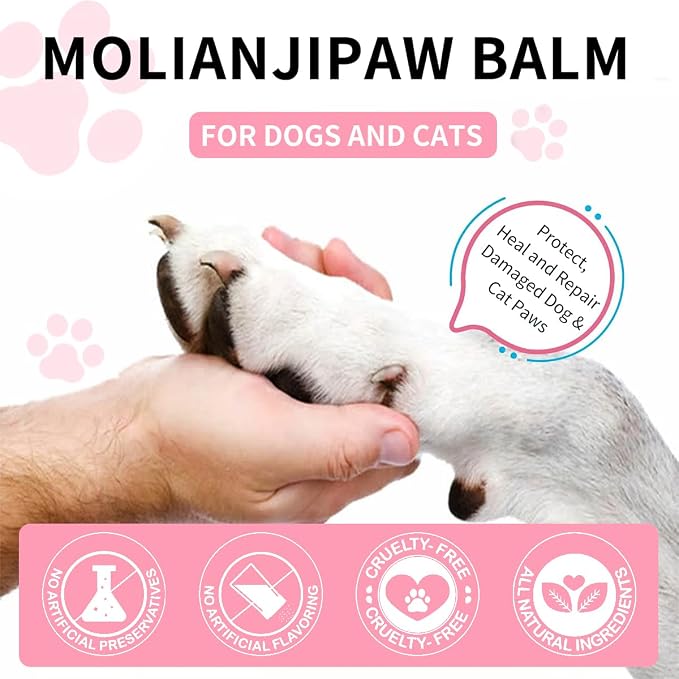 All-in-One Pet Care Bundle: Dog Paw Balm & 32oz Travel Water Bottle with Food Container – Moisturizing & Hydration Essentials for Dogs & Cats, Leak-Proof, Lick-Safe & Outdoor Ready
