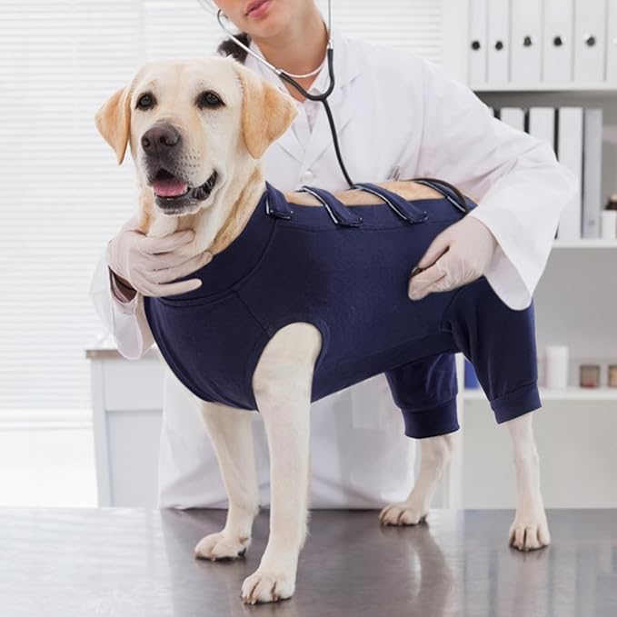 IECOii Dog Onesie for Surgery - Female Spay Recovery Suit, Male Anti Licking Shirt - Medium Size, Alternative to Cone E-Collar - M-Blue
