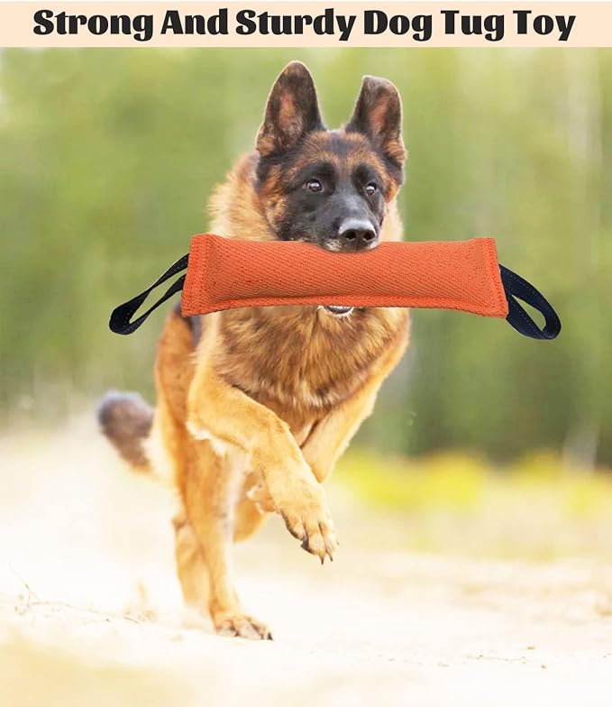 Clysoru Dog Tug Toy Double Pack Tough Jute Bite Pillow Training Equipment Puppy to Large Dogs Interactive