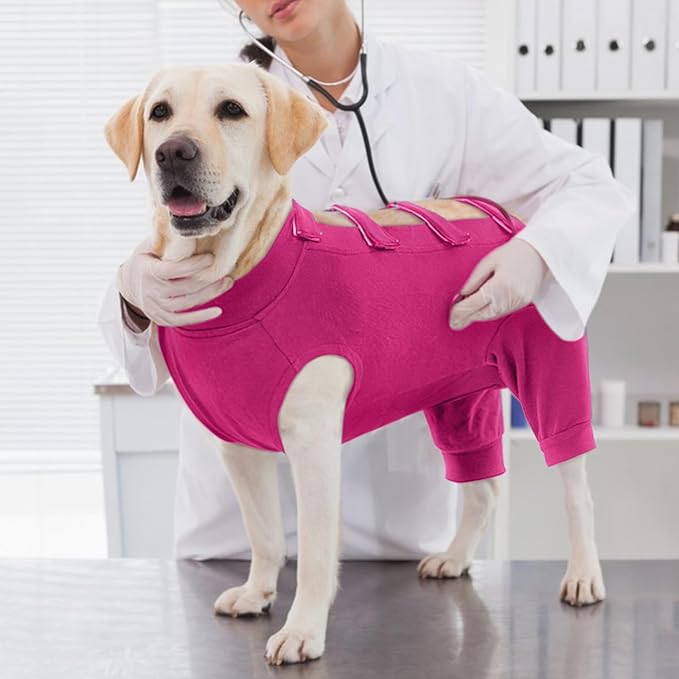 IECOii Dog Recovery Suit - Soft Surgical Onesie for Post-Surgery Dogs, Protects Abdominal & Rear Leg Wounds, Stops Licking, L-Rosered