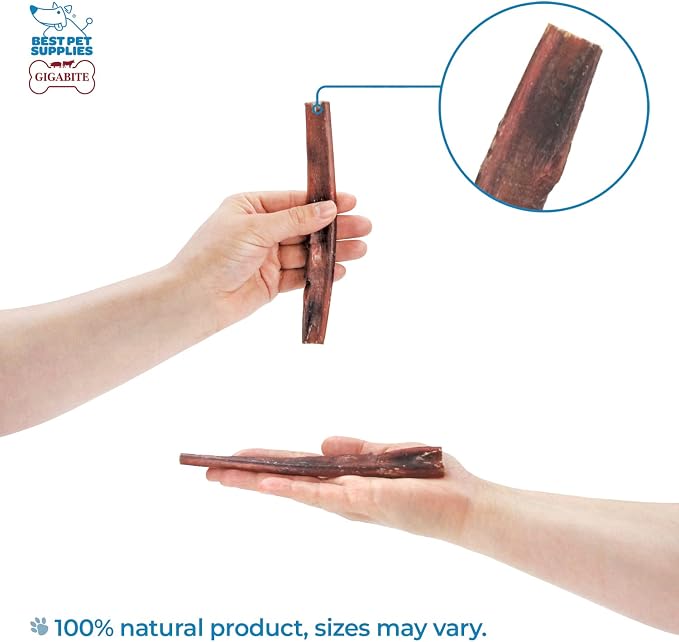 GigaBite Bully Sticks for Dogs All Natural Beef Pizzle Dog Chews, Odor & Rawhide Free Dog Treats, Long Lasting High Protein Chews Digestible Dental Dog Treat - Sticks (Half-cut 6"), Pack of 80