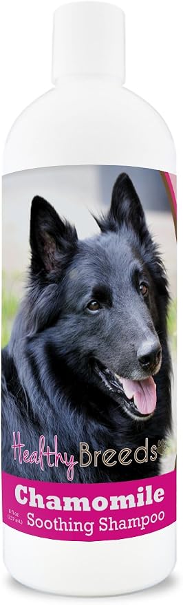 Healthy Breeds Belgian Sheepdog Chamomile Soothing Dog Shampoo 8 oz