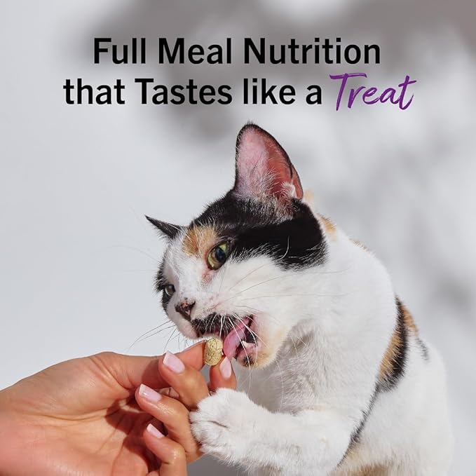 Stella & Chewy's Freeze-Dried Raw Cat Dinner Morsels - Premium Salmon & Cod Recipe with 98% Wild-Caught Fish & Organs - Natural Grain-Free Cat & Kitten Food - Made in USA - 18 oz
