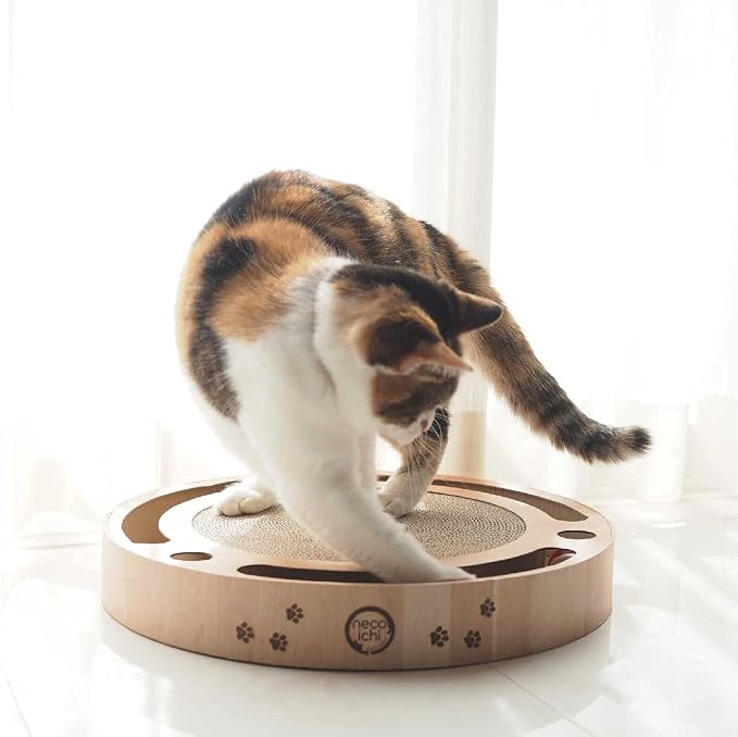Interactive Track Ball Cat Scratcher