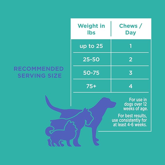 Natural Rapport Dog Digestive Supplement - The Only Digestive Support Soft Chews Dogs Need - 120ct Treats that Contain Probiotics and Enzymes to Support Digestion and Gut Health