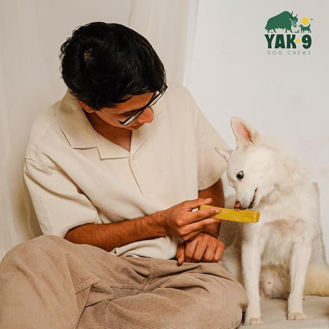 Yak9 Yak Cheese Himalayan Dog Chews, Coconut | High Protein, Non Rawhide Dog Chews Long Lasting | Non GMO, Gluten Free, Grain Free Yak Milk Dog Chew | Small Size, 14 PC