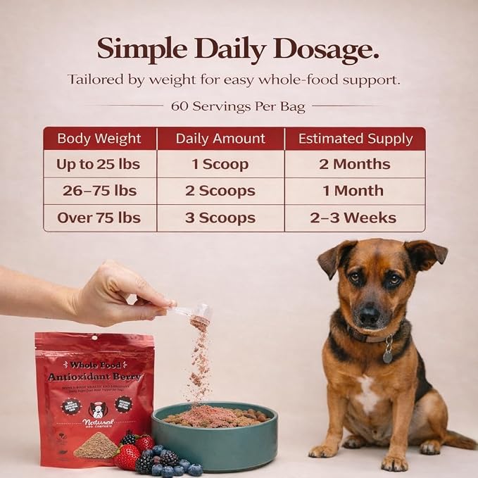 Natural Dog Company Dog Antioxidant Berry Food Topper for Dogs – Superfood Meal Topper & Multivitamin Powder Alternative, Immune Support, All Breeds & Ages Dog Food Seasoning, 8 oz Bag