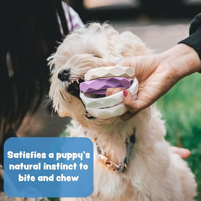 Puppy Teething Rings, Bracelet Food Grade Silicone Chew Toys for Small Dogs and Medium Dog, Puppy Nipping Solution Toys, Chew Toys for Puppies 0-6 Months - Creme Brûlée