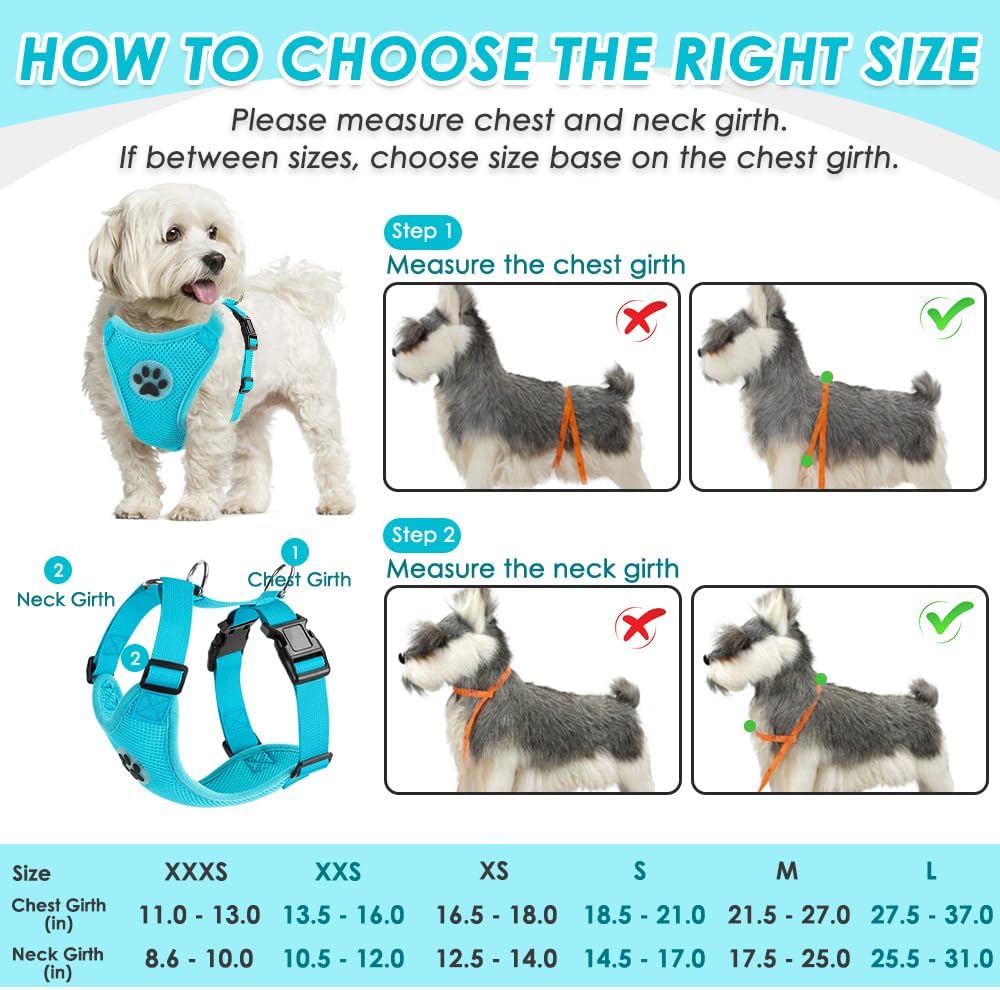 SlowTon Dog Seat Belt Harness for Car, Dog Car Harness Adjustable Mesh Breathable & Dog Seatbelt Safety Tether with Elastic Bungee for Small Medium Large Pets(Light Blue, Double Clip, XXXS)