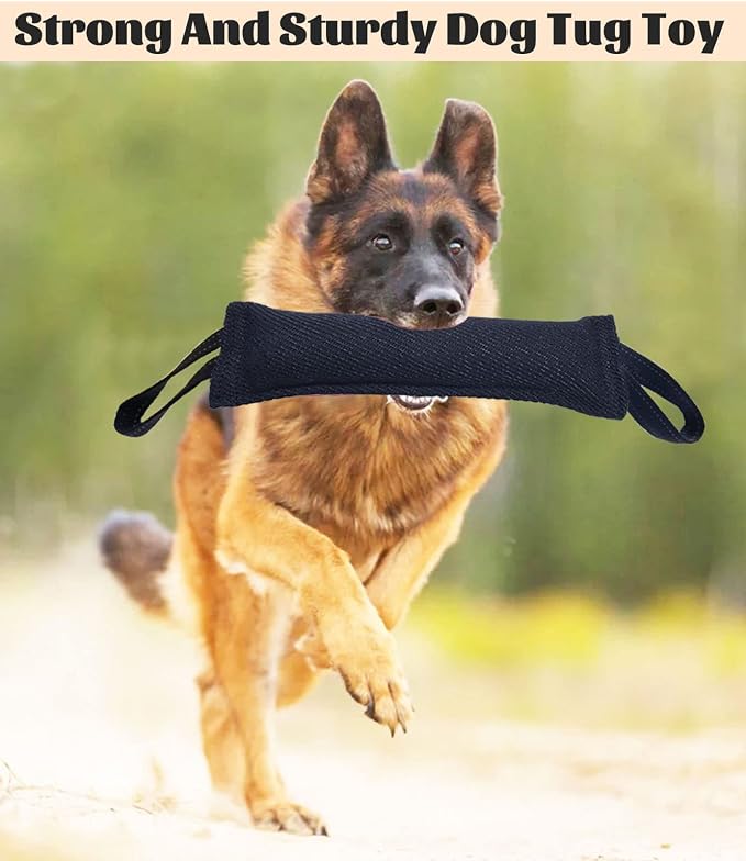 Clysoru Dog Tug Toy Double Pack Tough Jute Bite Pillow Training Equipment Puppy to Large Dogs Interactive