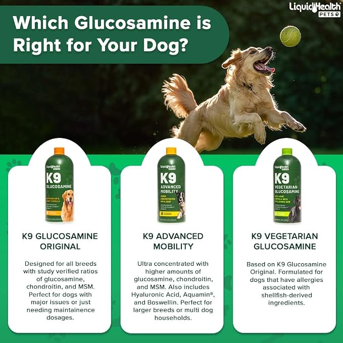 LIQUIDHEALTH Pets K9 Liquid Glucosamine for Dogs, Puppies, Senior Canines with Chondroitin, MSM, Hyaluronic Acid - Dog Vitamins for Hip Joint Health, Dog Joint Oil, Joint Juice - Made in USA (2 Pack)