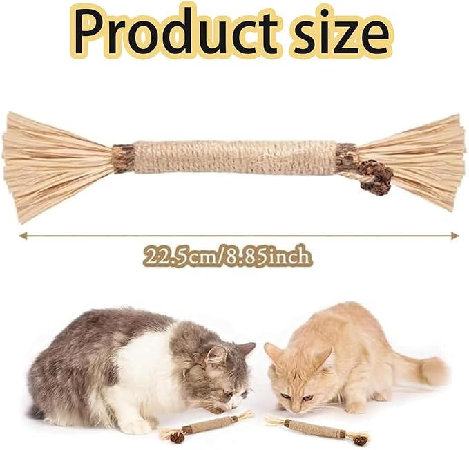 Natural Silvervine Dental Sticks, Natural Silvervine Sticks for Cats, Cleaning Dental, Scratch and Bite Resistant, Calm Cat Boring, for Indoor Kitty Interactive Kitten Chew Playthings (5Pcs)