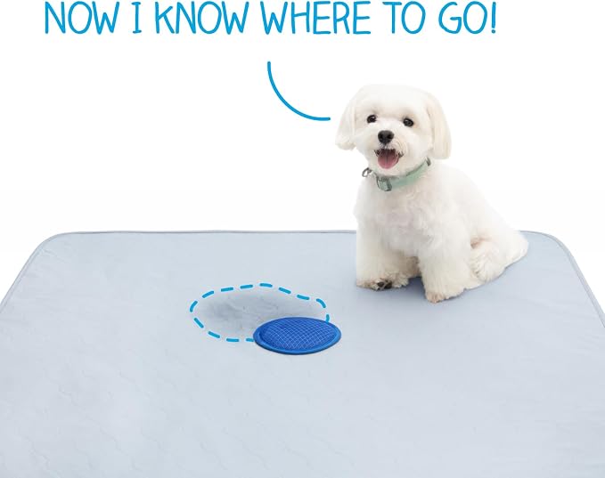 2ct Paw Inspired Speed Spot Go Here Potty Training Puppy Pads with Pop Up Urine Attractant Target | Washable, Reusable Dog Pee Pads with Pheromone Scent Patch for Housebreaking (36x36 Inch Size)