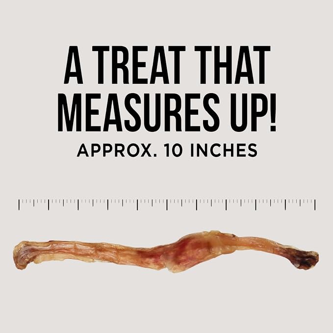 Natural Rapport Beef Tendon Dog Chews - Single Ingredient, Long Lasting, Promotes Dental Health & Joint Support (10 Count Value Pack)