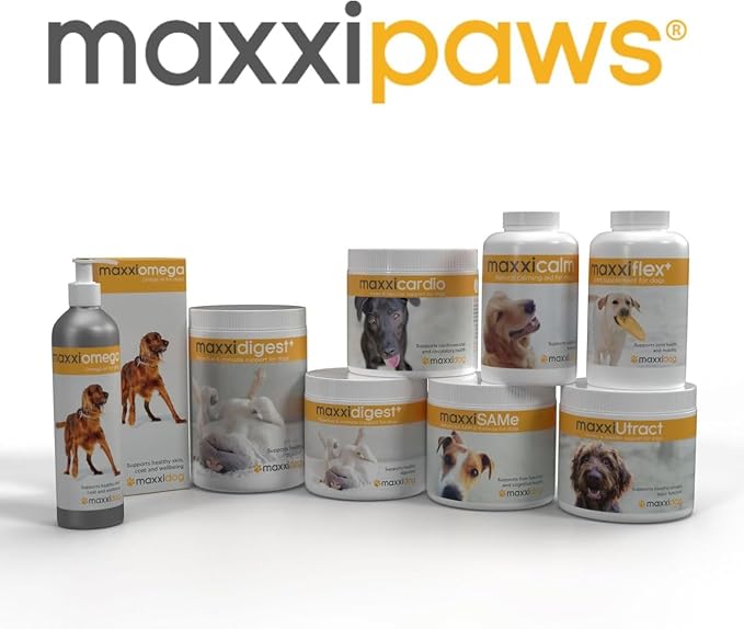 maxxipaws - maxxiflex+ Hip & Joint Supplement for Dogs with Glucosamine, Chondroitin, MSM & Collagen | Mobility, Flexibility & Discomfort Support | Senior, Adult & All Breeds | 120 Tablets