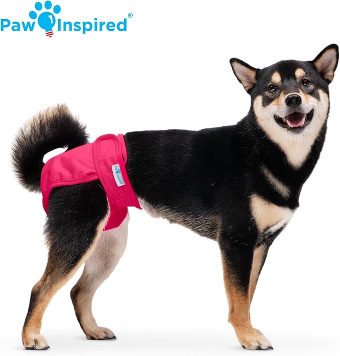 Paw Inspired Washable Dog Diapers (3 Pack) | Reusable Cloth Doggy Diapers for Female Small, Medium, Large Size Dogs (Pink, Blue, Purple Colors with Black Lining, Size Medium)
