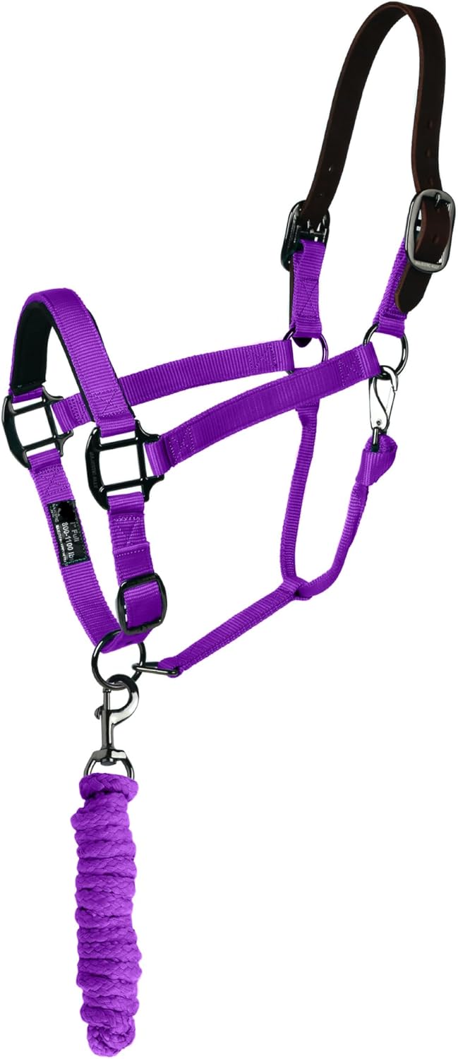 Majestic Ally Leather Halter with Matching Lead Rope for Horses – Leather Breakaway Crown - Adjustable Chin Strap – Rolled Throat Latch – Padded Noseband – Full (Purple, Full)