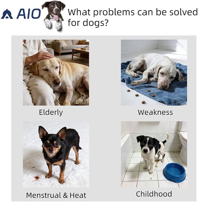AIO Dog Diapers Female(3 Pack), Small Medium Large Highly Absorbent Wraps Reusable Dog Diapers Female