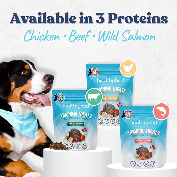 healthybud Mini Dog Training Treats - Beef Liver Soft Trainer Bites, 500+ Bits, 1 kCal per Bite, 6.5oz, Reishi, Lion’s Mane, Salmon Oil, Puppy Chews (3 Pack Beef)