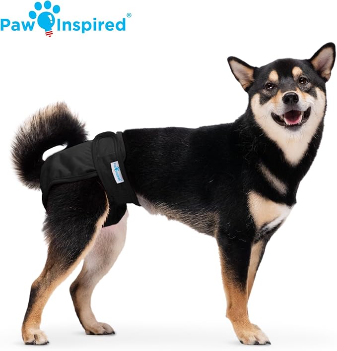 Paw Inspired Washable Dog Diapers (3 Pack) | Reusable Cloth Doggy Diapers for Female Small, Medium, Large Size Dogs (Black with Black Lining, Size Medium)