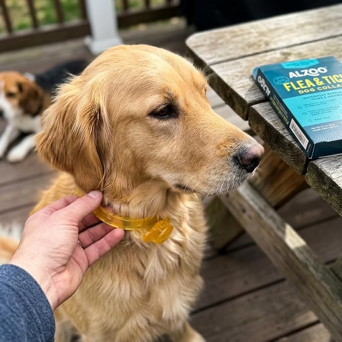 ALZOO Plant-Based Flea & Tick Dog Collar for Small-Sized Dogs: 15 lbs & Under, Helps Repel Fleas, Ticks & Mosquitoes, Waterproof, Up to 4 Months Protection, Cedarwood & Peppermint Oils, Single