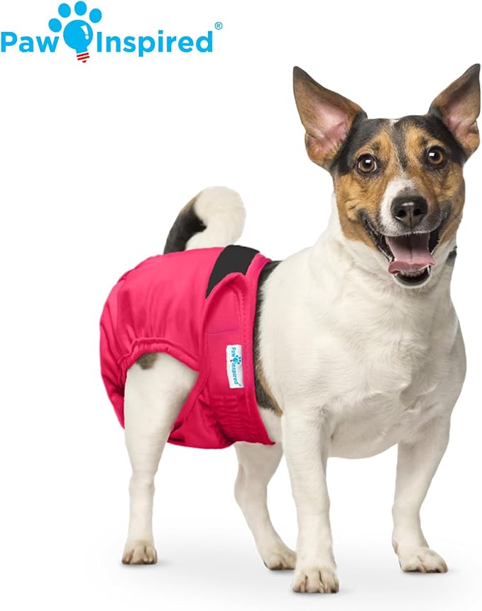 Paw Inspired Washable Dog Diapers (3 Pack) | Reusable Cloth Doggy Diapers for Female Small, Medium, Large Size Dogs (Pink, Blue, Purple Colors with Black Lining, Size Small)