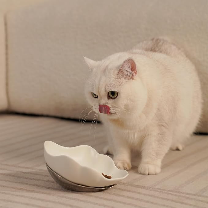 Shell Ceramic Dog Bowls & Cat Food Bowl, Whisker-Friendly Feeding Dish for Small Dogs & Cats, Non-Slip Food Grade Pet Bowl with Stainless Steel Base, Aesthetic Design