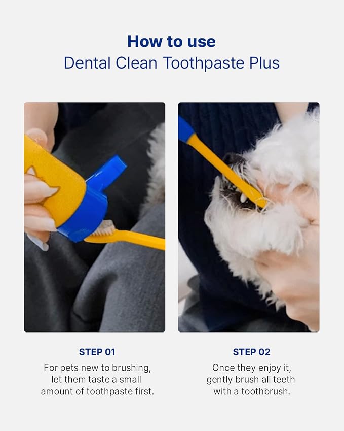 PETHROOM Dog & Cat Dental Kit for Deep Cleaning – Enzymatic Toothpaste & Precision Toothbrush (Rounded Head), Plaque & Tartar Control, EWG Verified, Fresh Breath, Apple Flavor, 2.1 oz