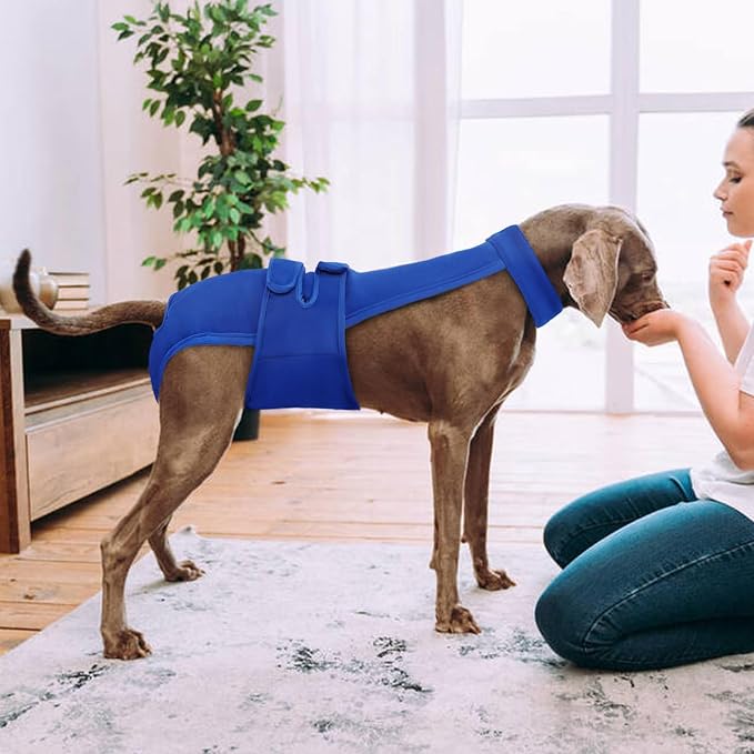 Dog Diapers Female Reusable Washable Period Diaper with Suspender,Adjustable Dog Panties Anti-Harassment, Doggie Diapers for Incontinence, Heat Cycles, or Senior Dogs(XS-XL