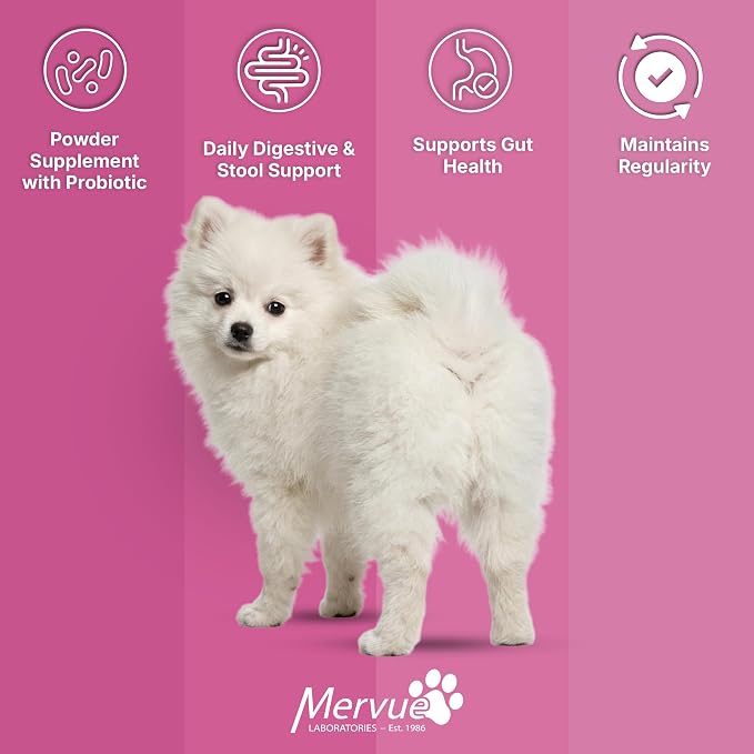 Mervue Stool Fiber for Dogs – Psyllium Husk Powder for Dogs to Support Firm Stools – Small & Medium Dog Digestive Support with Probiotics and B-Vitamins for Sensitive Stomachs – 21-Pack, 10g Each