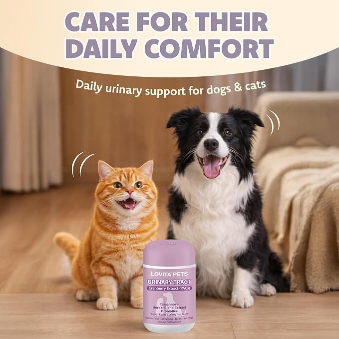 LOVITA Pets Urinary Tract Support for Dogs & Cats, with Cranberry Extract (PACs), D-Mannose and Probiotics, Daily Urinary Health Supplement, 60 Capsules