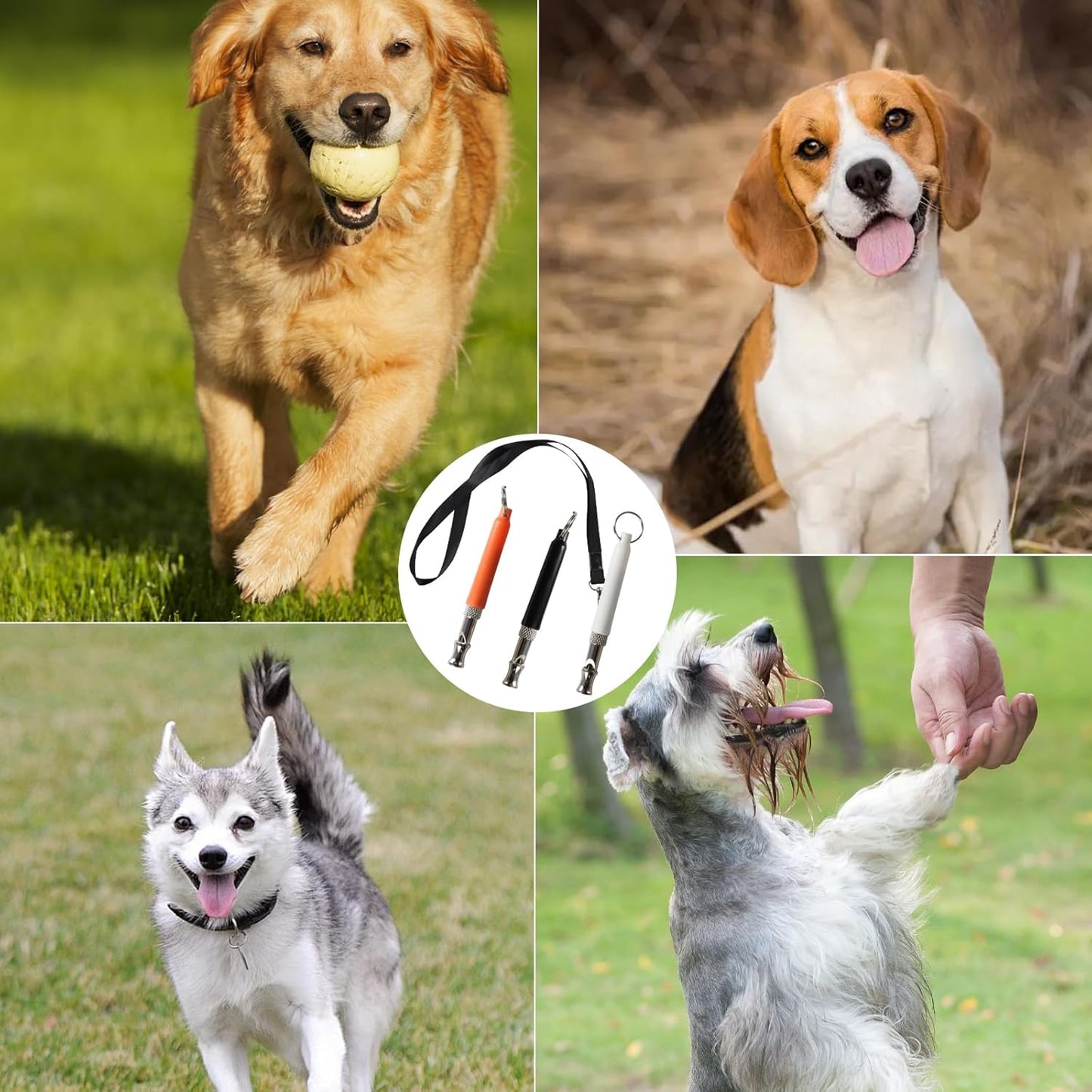 3 PCS Dog Whistle to Stop Barking Neighbors Dog, Adjustable Ultrasonic Wave Silent Dog Whistle, with Lanyard, Small and Portable, Suitable for All Dog Breeds (Black+White+Orange)