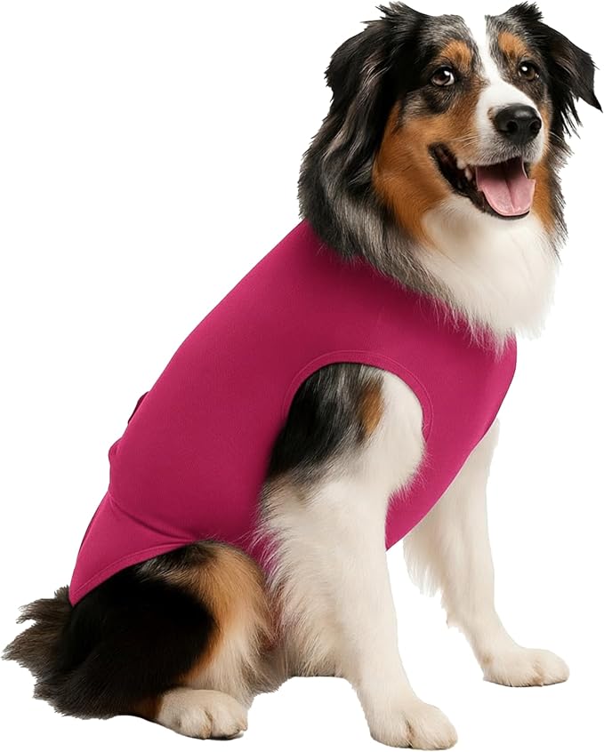 SurgiSnuggly Disposable Dog Diapers Female or Male Dogs, Great Cover for Female Dog Diapers for Heat Cycle and Better Than Dog Suspenders- Wrap Around Legs for Superior Fit S Pink