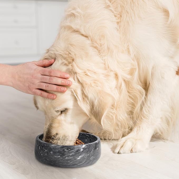 Marble Dog Bowl, Natural Stone Weighted Spill Proof Pet Food Water Container, Non-Slip Easy to Clean, Small Size for Small and Medium Dogs (Dark Grey, Medium)