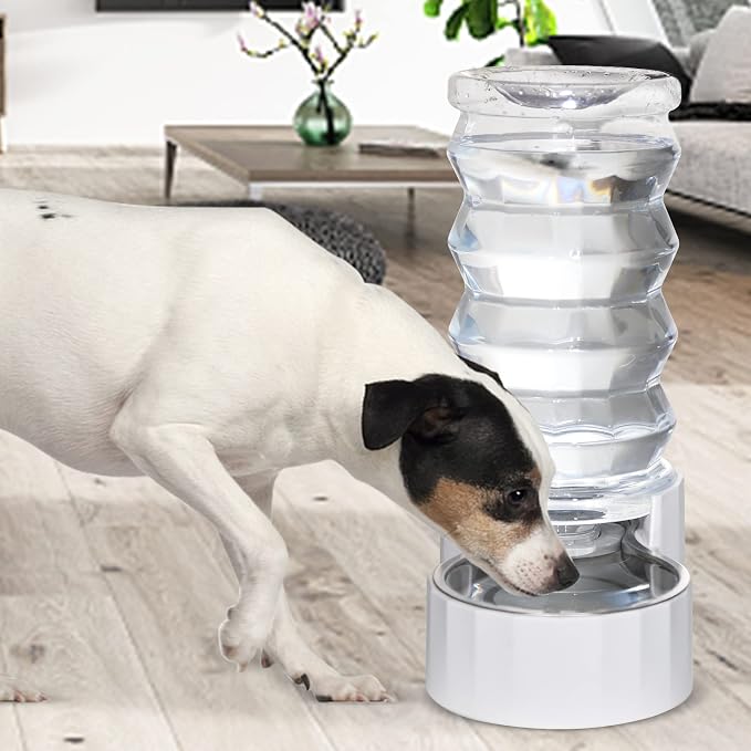 RIZZARI 8L Stainless Steel Gravity Pet Water Dispenser – Auto-Refill | Fresher Daily Drinking, for Multi-Pet Homes, Activated Carbon Filtration, Easy to Clean