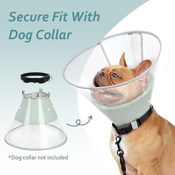 Dog Cone Collar with Snap-on Detachable Soft Liner, Lightweight Transparent Elizabethan Alternative to Stop Licking, for Spay Neuter Surgery Recovery, for Medium Large Small Dogs (Green,XS)