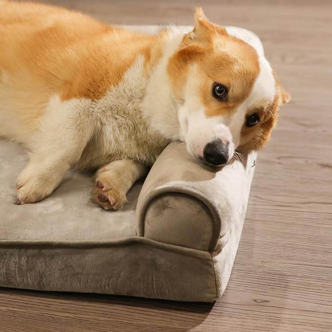 Amazon Basics Dog Bed with Cooling Gel Memory Foam, Pressure-Relief Support for Dogs up to 30lbs, Non-Slip Bottom, Machine Washable Cover, Medium Sized (30" x 20"), Taupe