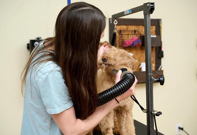 METROVAC MB-3V Air Force Master Blaster Pet Grooming Dryer | Variable Speed High Velocity Dog Hair Blower USA
